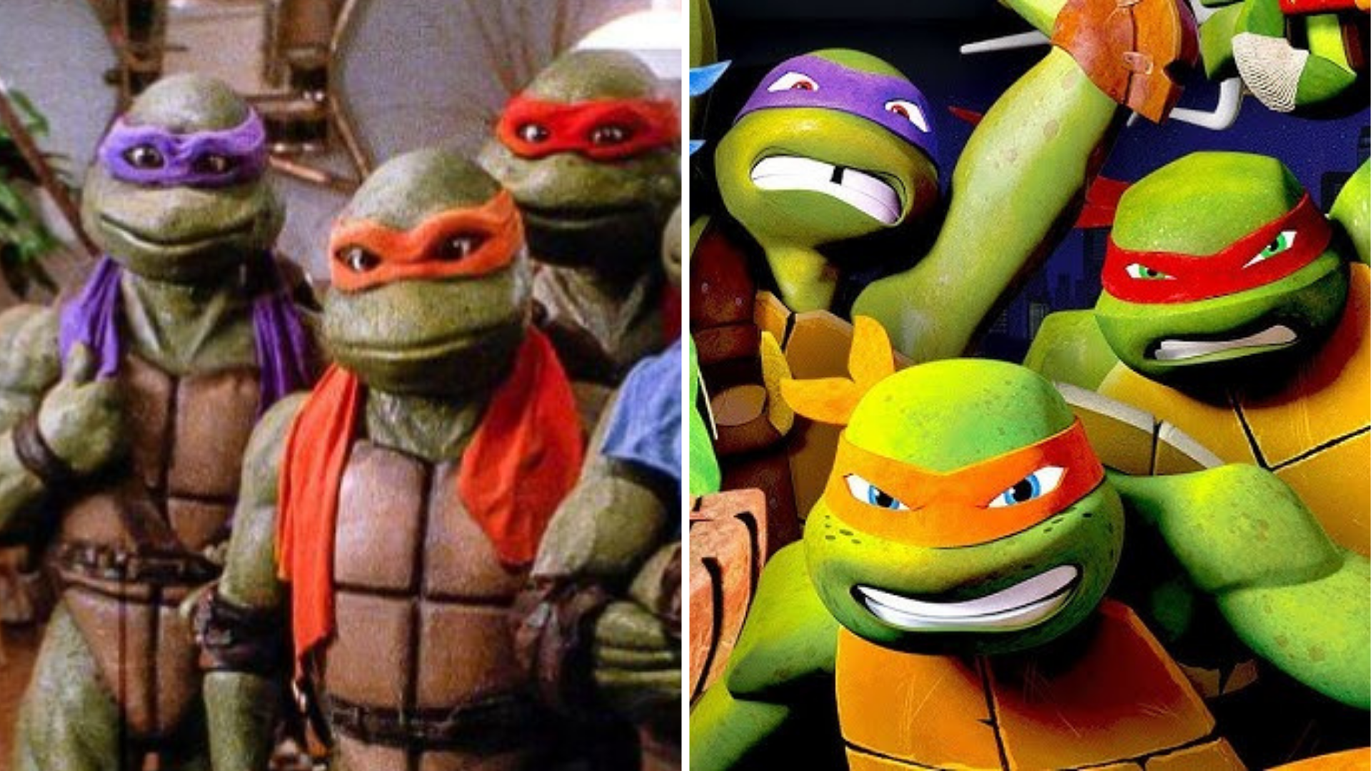 Teenage Mutant Ninja Turtles TMNT