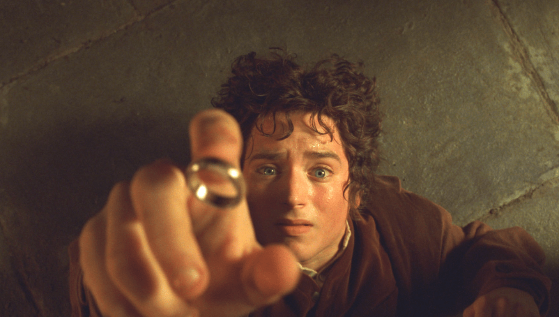 The Lord of the Rings The Fellowship of the Ring Frodo Ring