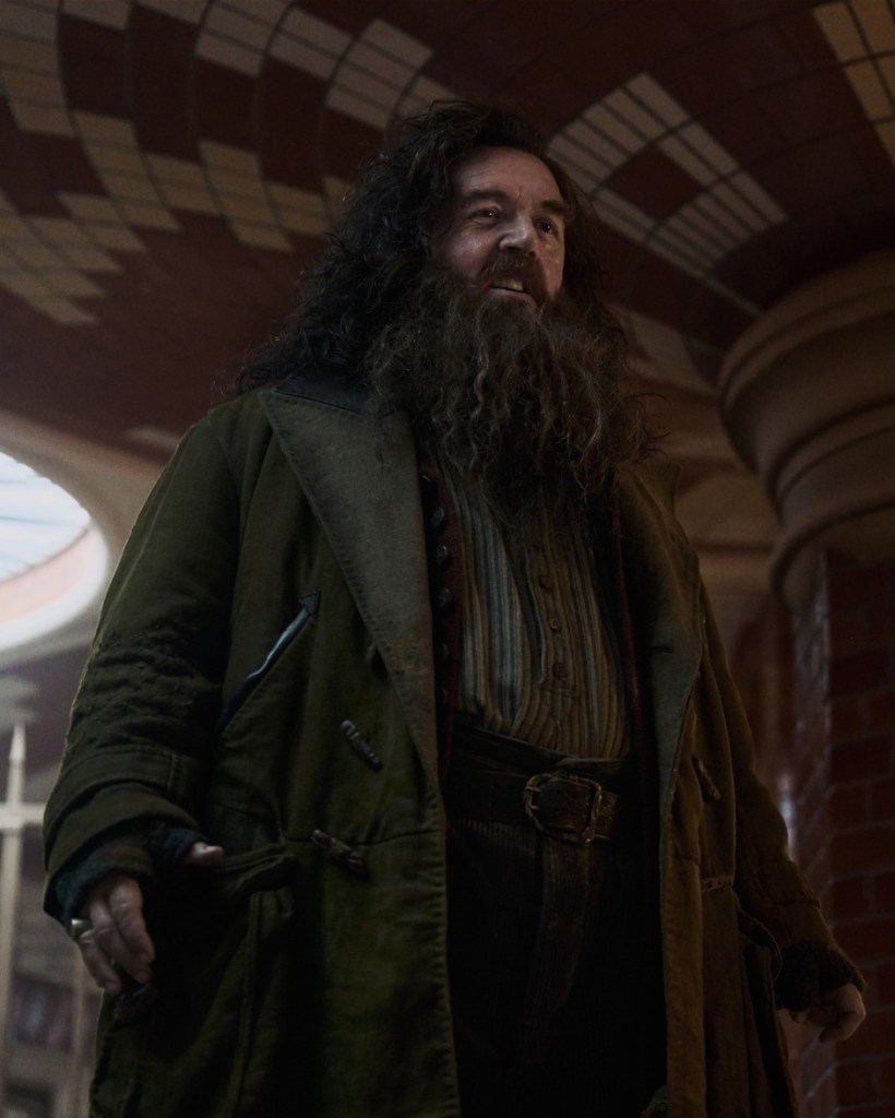Nick Frost Rubeus Hagrid